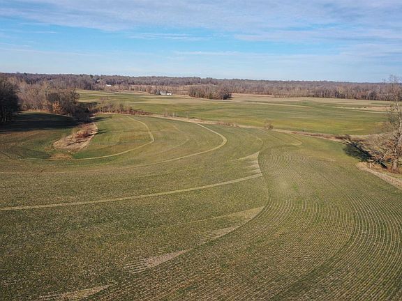 3rd image of Kingston Road And Ky94