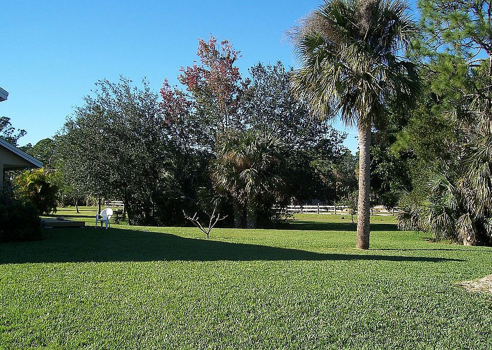 Portion of back yard