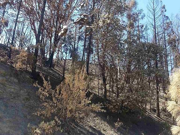 3rd image of Middle Creek Rd