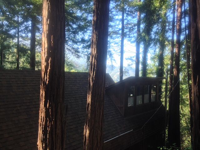 1st image of 530 Edgewood Ave