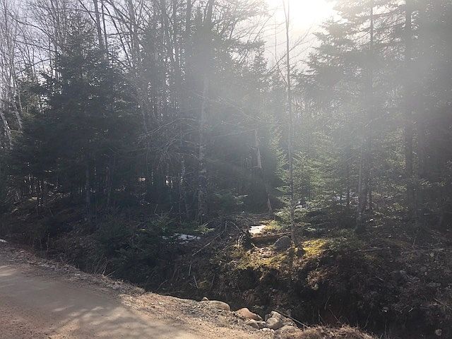2nd image of Gilberts Ln Lot 2016-3