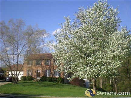 Front of Property in Springtime