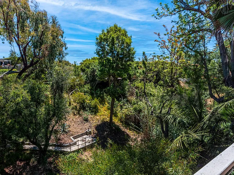 485 Morning Canyon Rd — Photo 3