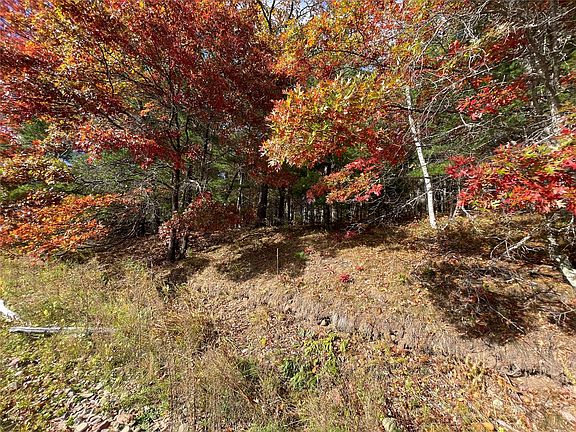 5th image of 7 W Tanager Trail
