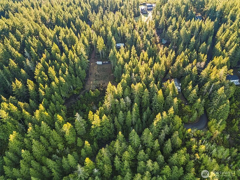 3rd image of 1123 E Timber Tides Drive