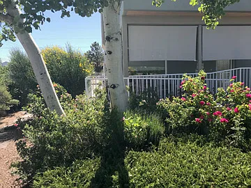 1201 Don Diego Ave #B — Photo 22