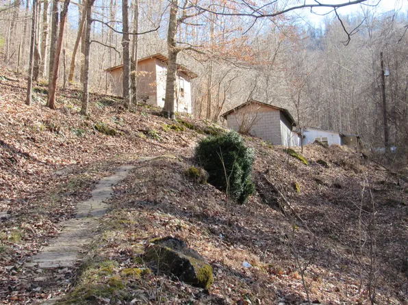 1839 Falls Creek Rd, Dungannon, VA 24245