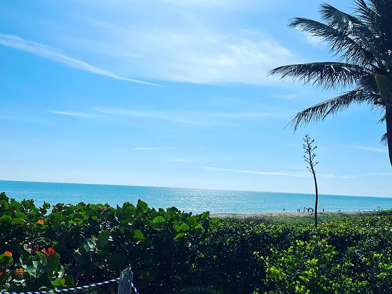 Window View