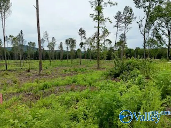 18 County Road 91, Gaylesville, AL 35973