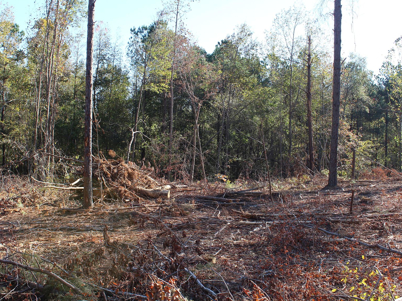 9 Old Montpelier Rd, Cedarbluff, MS 39741 Zillow