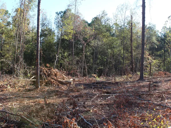 9 Old Montpelier Rd, Cedarbluff, MS 39741