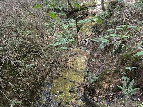4th image of 0 Holly Branch Run Rd