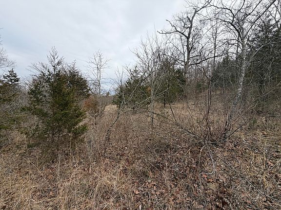 4th image of 000 Tall Timber Circle