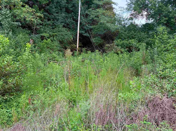 40 Edmonds Hollow Rd, Waterloo, AL 35677