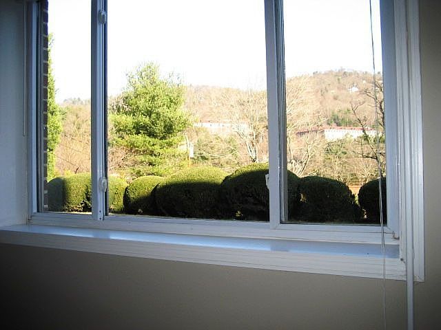View from Basement