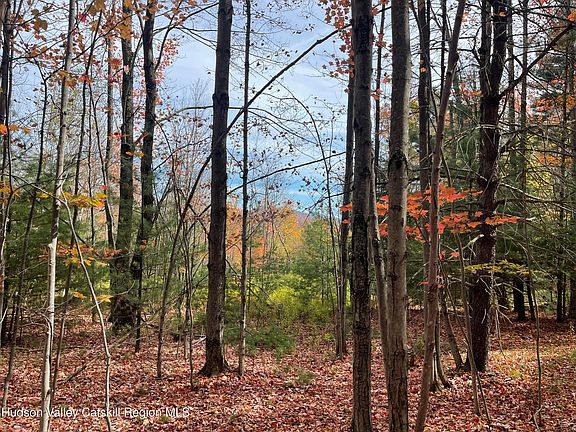 2nd image of 0 Tower Mountain Road