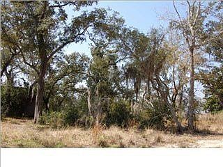 3rd image of 6671 Avenida De Galvez