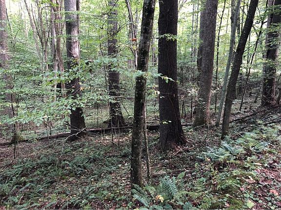 3rd image of 0 Thistlewood Trl