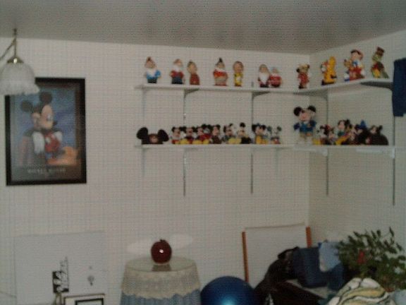 4th Bedroom or Office