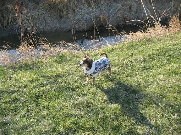 down  by our creek path