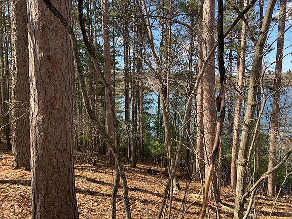 2nd image of Red Pine Dr