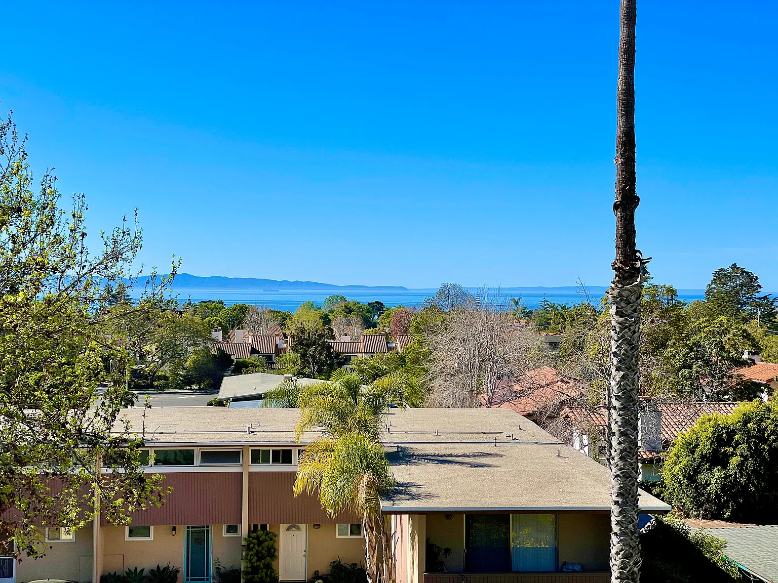 Studio, $2,395 — Photo 4