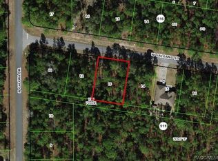 1272 W Galgano St, Citrus Springs, FL 34434