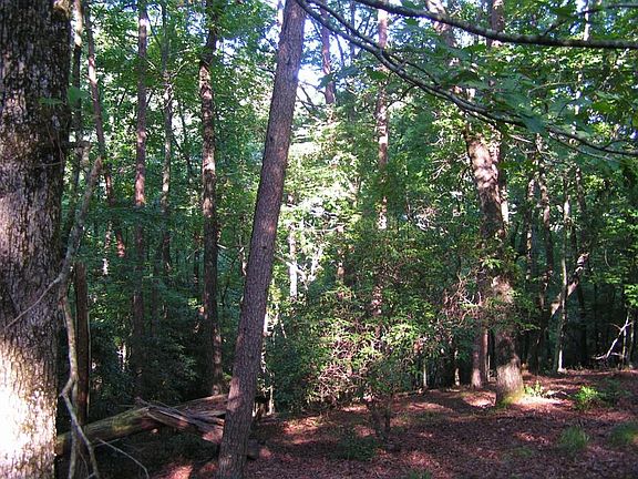 3rd image of 53 Mountain Trace Ln #530