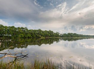 187 Bull Thistle Ln, Johns Island, SC 29455