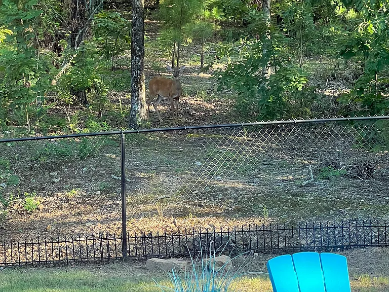 Eagles Nest Cv — Photo 14