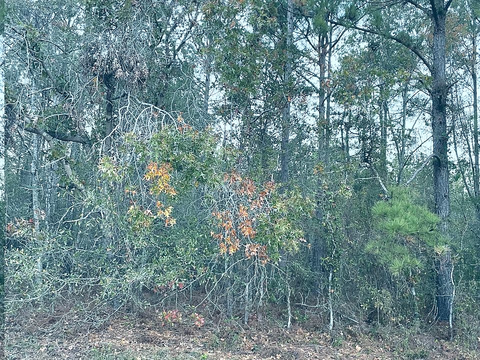 2nd image of 0 Scuffletown Rd