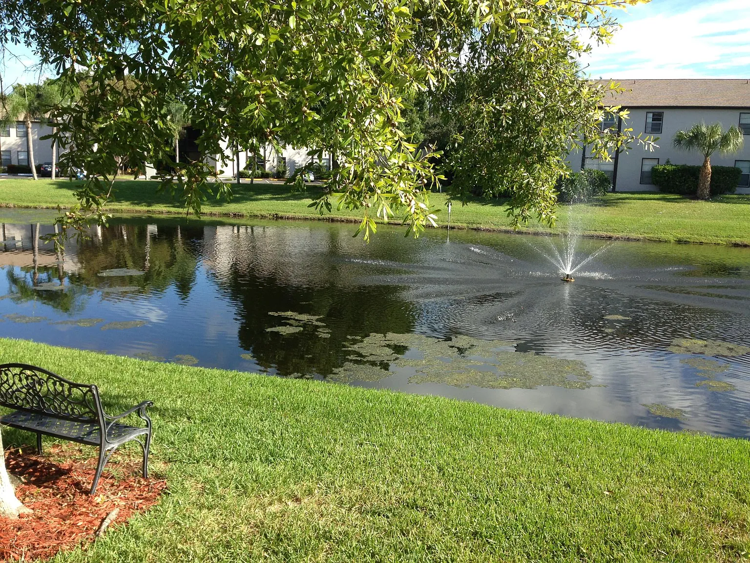 3 bed, 1037 sqft, $1,600 — Photo 1