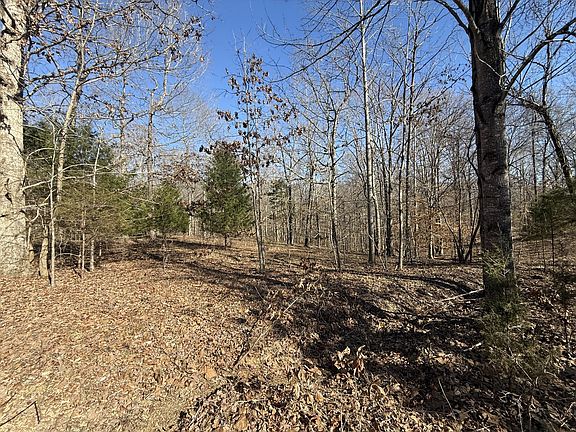 3rd image of 55 Backwoods Estates Lot 55