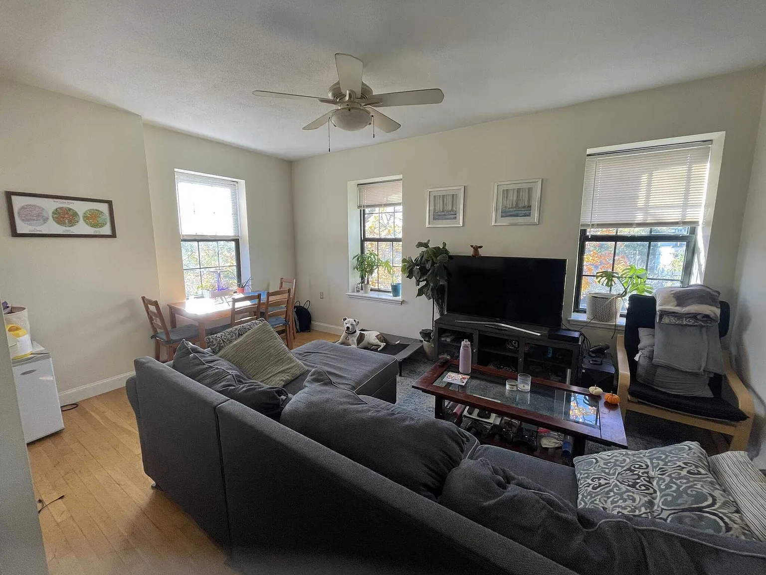 2 bed, $3,000 — Photo 1
