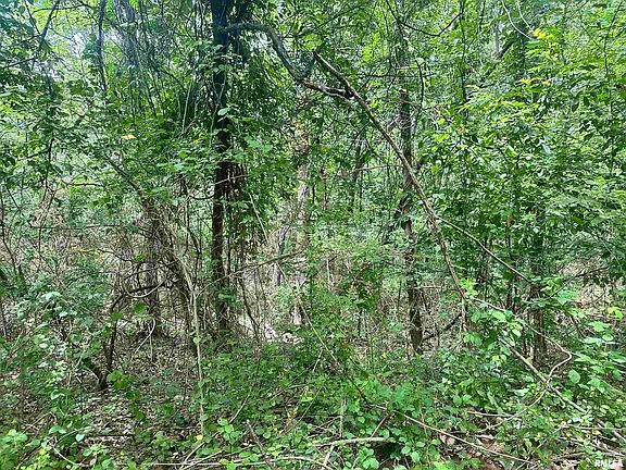 3rd image of 0 Knob Creek Rd