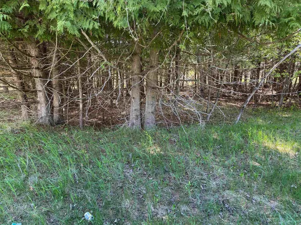 LOT 230 Kings Way, Gladwin, MI 48624