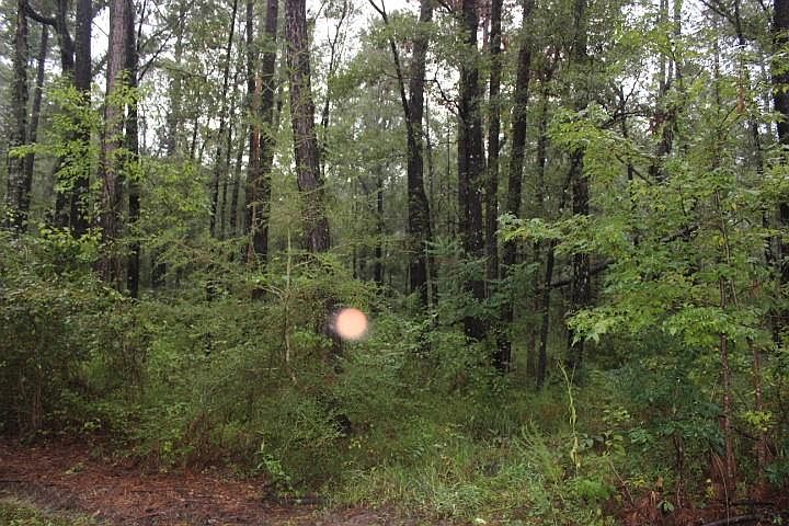 1st image of 1C Horseshoe Rd