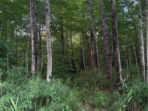 5 Tuck St, Chesapeake, VA 23322