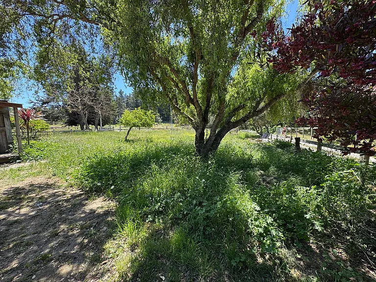 640 Peaceful Valley Dr — Photo 4