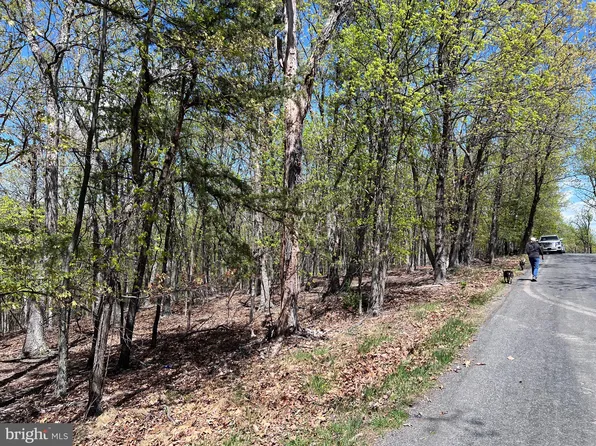Timber Ridge Rd, Berkeley Springs, WV 25411