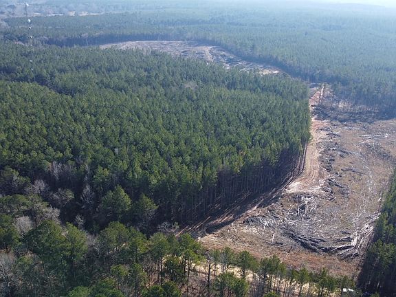 4th image of 3 Old Pickens Rd