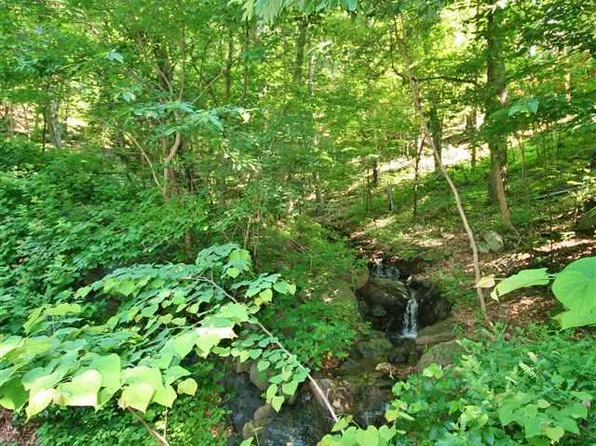 226 Hooded Warbler Ln, Nellysford, VA 22958