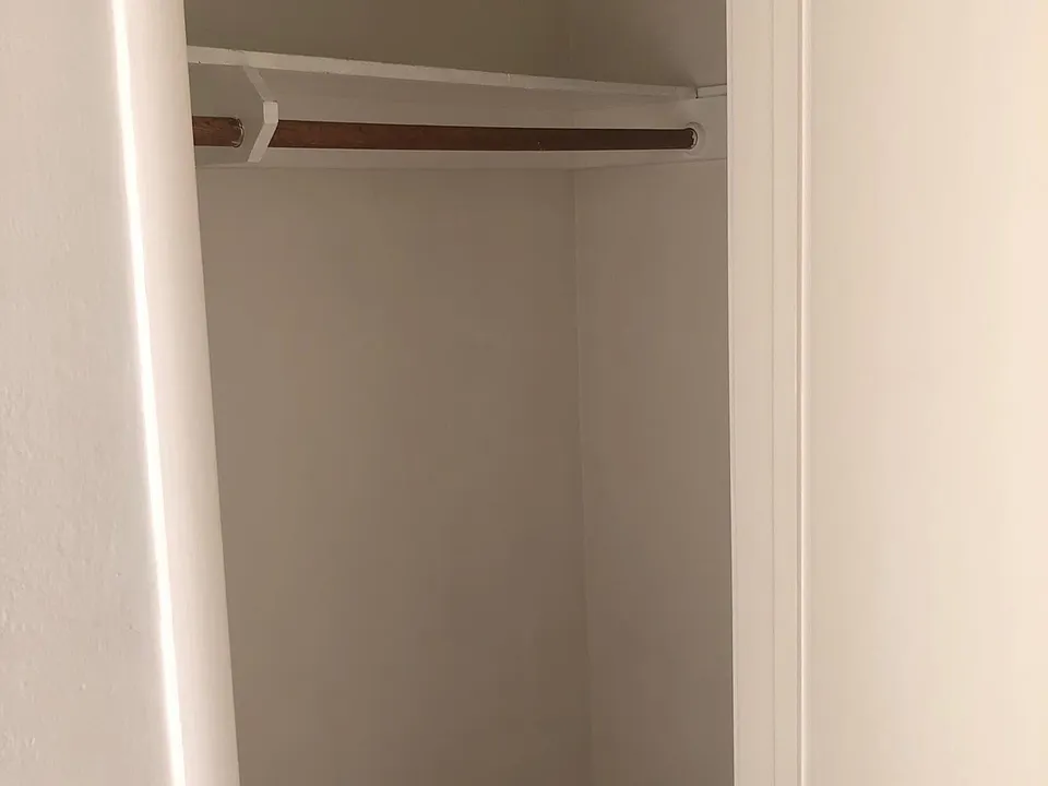 Entry hall closet.