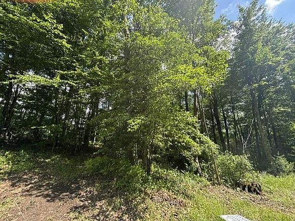 4th image of 1 Holly Ridge Dr