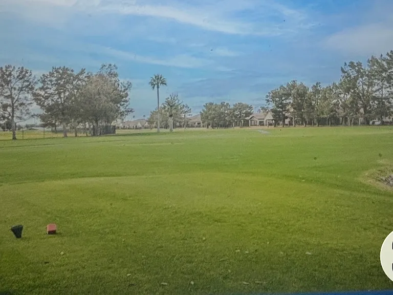 FOS Golf greens