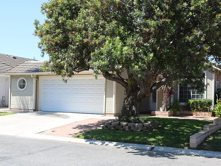 5364 Gooseberry Way — Photo 6