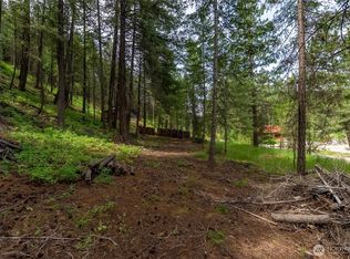7 Howerton Rd, Twisp, WA 98856
