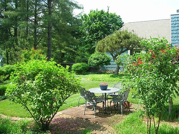 Back yard