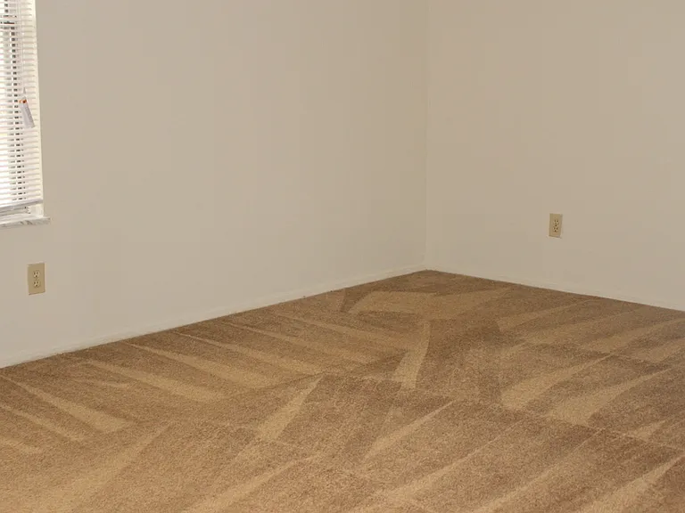 8050 Mount Everest St — Photo 7