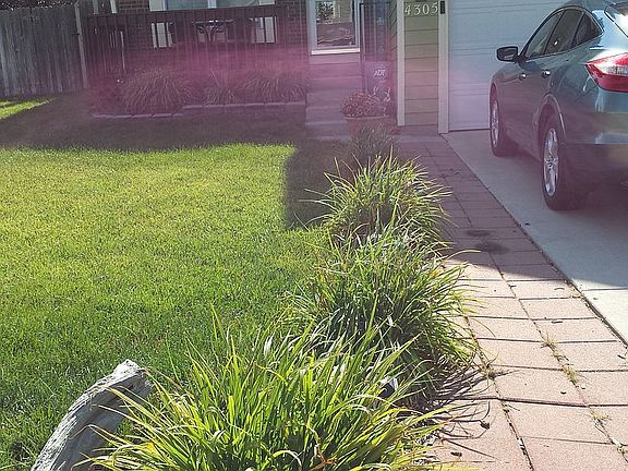 Landscaped front yard